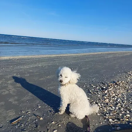 Kragkaer Deer-lodge & - Unique Homes Prázdninový dům Sæby