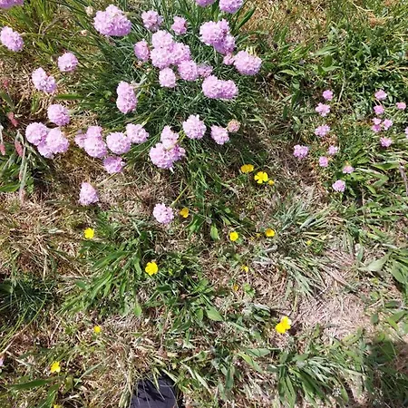 Prázdninový dům Kragkaer Deer-lodge & - Unique Homes *