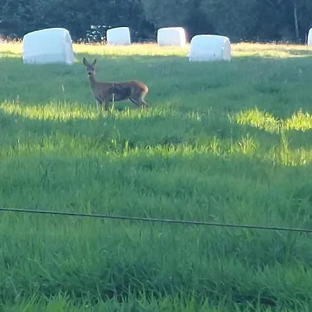 Kragkaer Deer-lodge & - Unique Homes Prázdninový dům Sæby